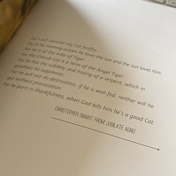 CATS Book - Picture 3 of 8